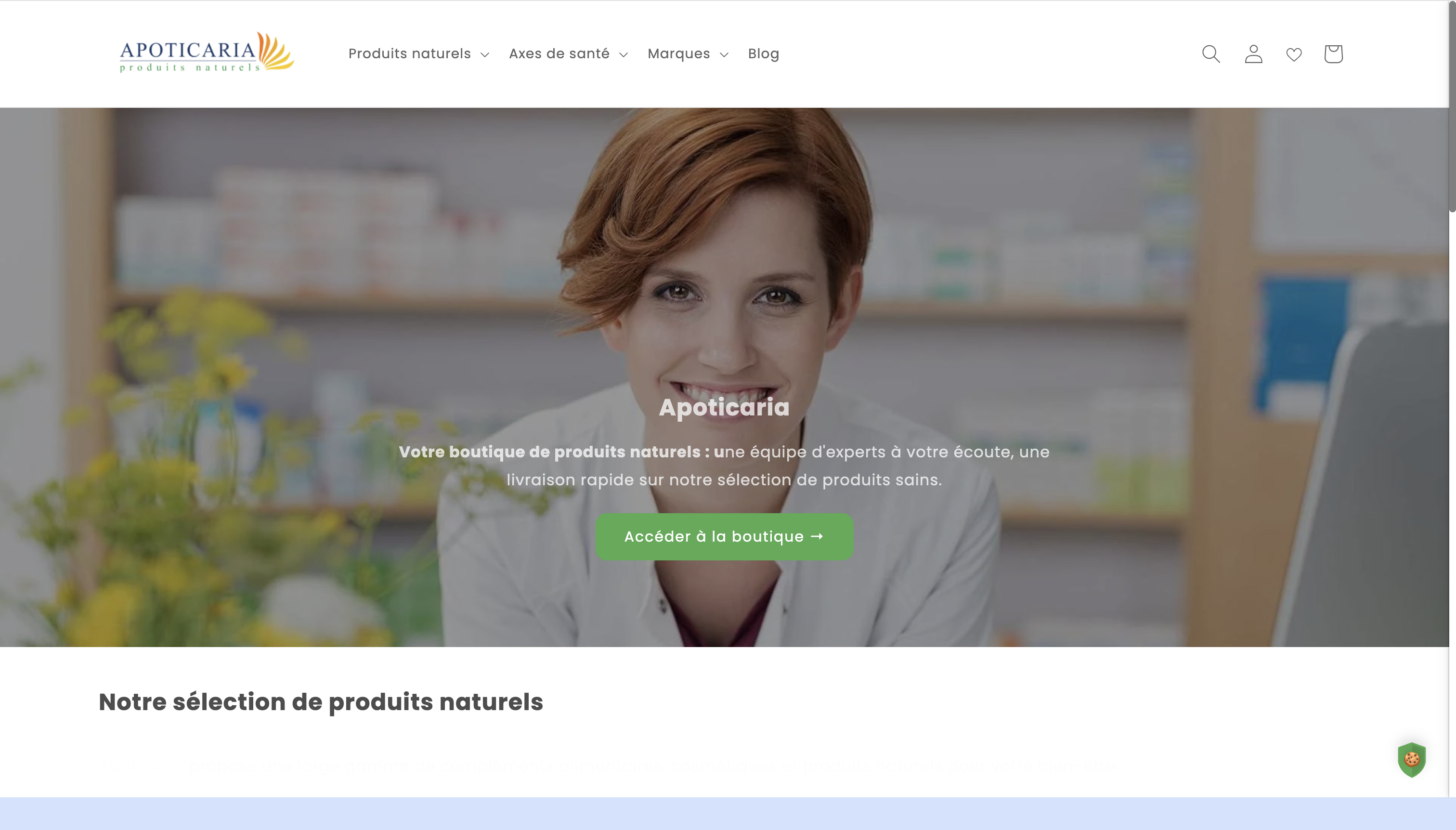 Optimisation page produit, performance et SEO pour Apoticaria